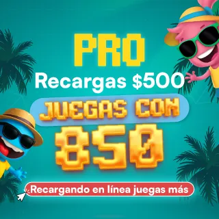 Combo Pro de Verano 